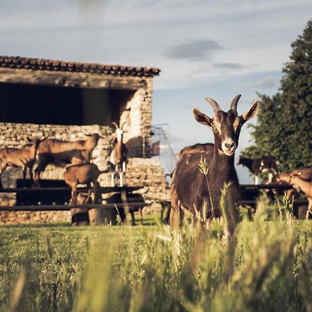 Le Domaine Du Castellas Sivergues Экстерьер фото